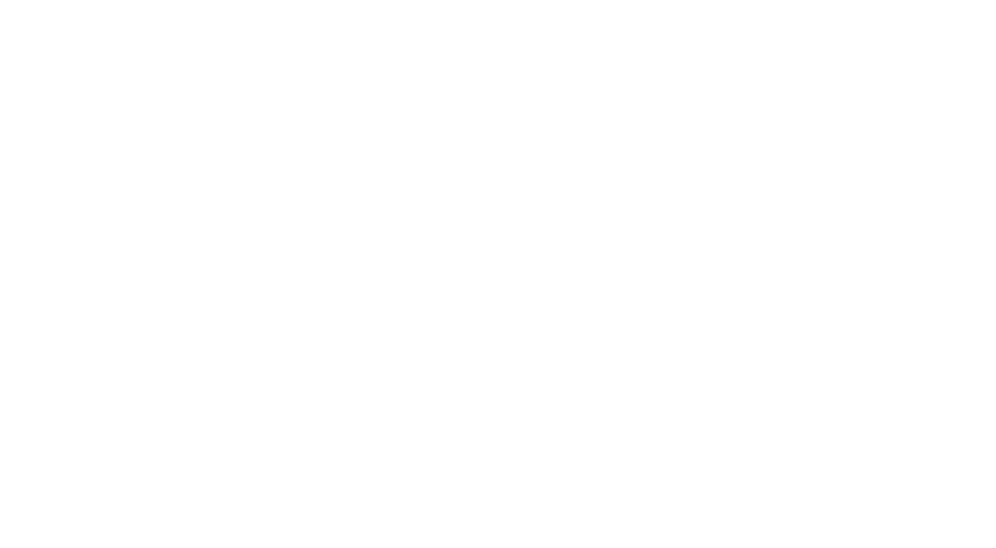 Hawaii Painters 808