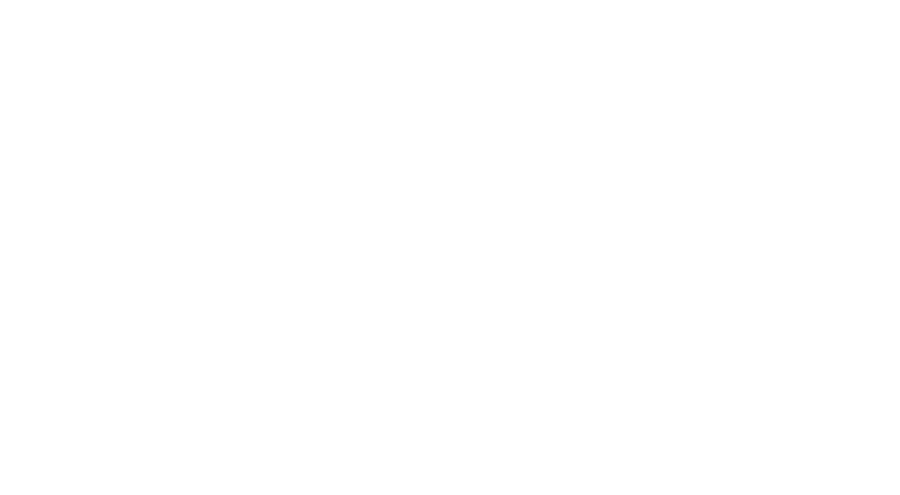 Hawaii Painters 808
